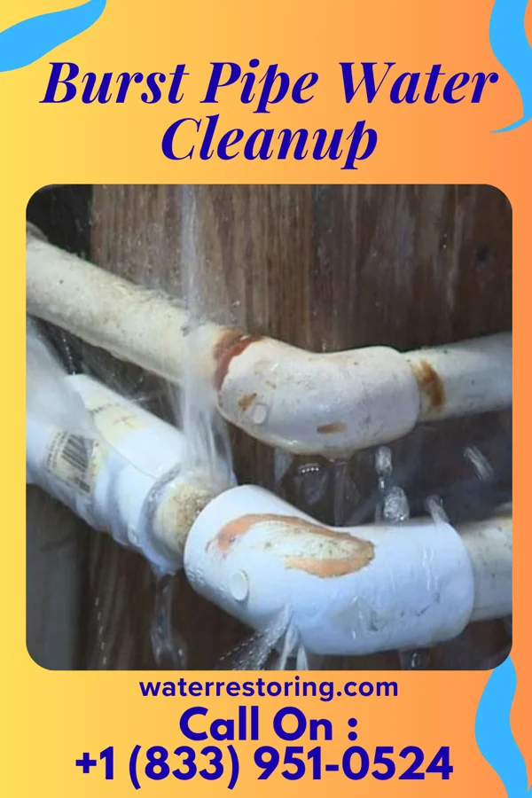Burst Pipe Water Cleanup in McAdoo, PA