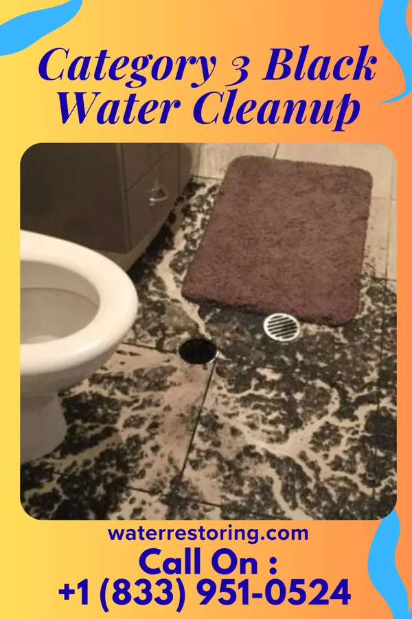 Category 3 Black Water Cleanup in McAdoo, PA