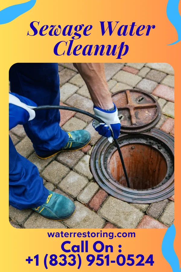 Sewage Water Cleanup in McAdoo, PA